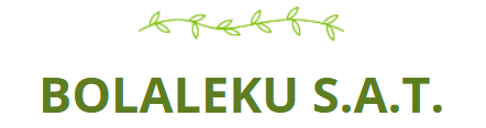 Bolaleku